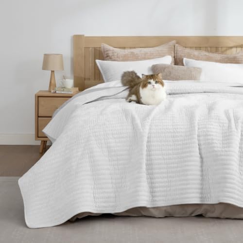 BEDELITE Velvet Quilt Set Queen Size, Luxury Velvet Comforter Bedding - Image 2