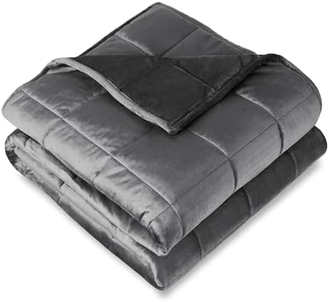 Bare Home Minky Fleece Weighted Blanket (Grey, 40"x60" 7lbs) by BareHome