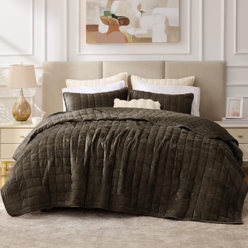 BEDELITE Velvet Quilt Set Queen Size, Luxury Velvet Comforter Bedding by BEDELITE