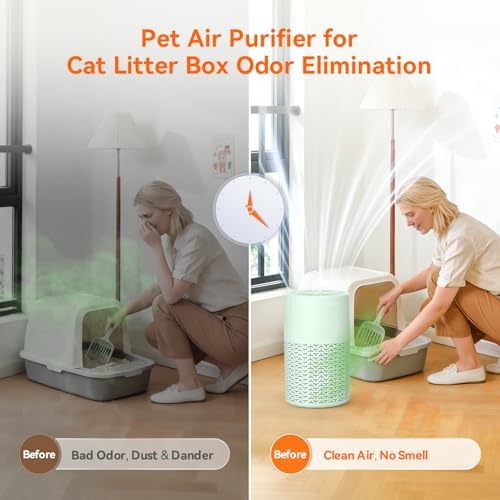 AIRROMI Pets Air Purifier for Home Allergies,Up to 660 ft². HEPA Deodorizing Activated Carbon Filter,With Fragrance Sponge for Better Sleep,Night Light,Pet Dander,Smoke,Odors,Air Cleaner A2002 Green - Image 6