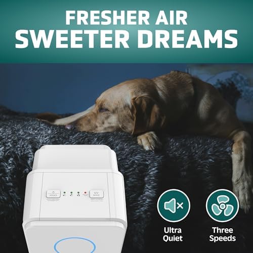 GermGuardian Air Purifier for Homes with Pets, H13 Pet HEPA Filter, Removes Pet Dander, Dust, Allergens, Smoke, Pollen, Odors, Mold, UV-C Light Helps Reduce Germs, 22 Inch, White, AC4300WPT - Image 3