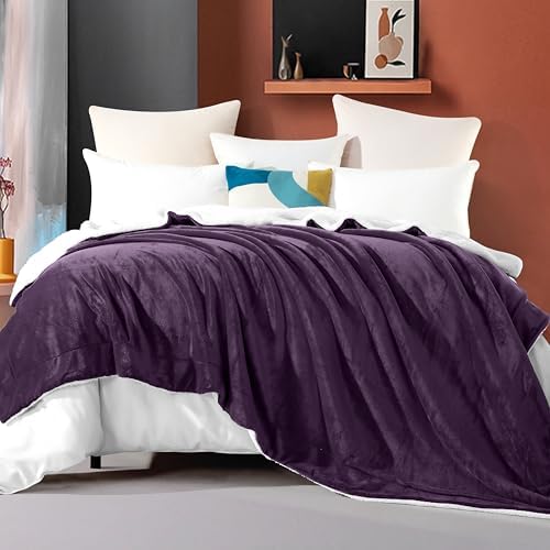 Elegant Comfort Ultra Soft Reversible Flannel Sherpa Blanket - Cozy Silky Fleece Throw for Couch, Bed - Plush Fuzzy Warm Winter Blanket for Gift, Twin XL, Purple - Image 2