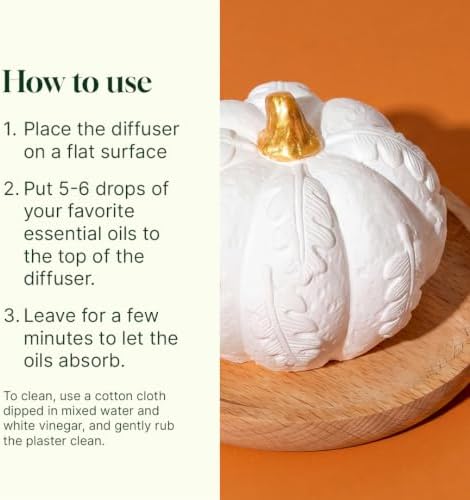 Plant Therapy Pumpkin Passive Fall Diffuser for Essential Oils - Image 4