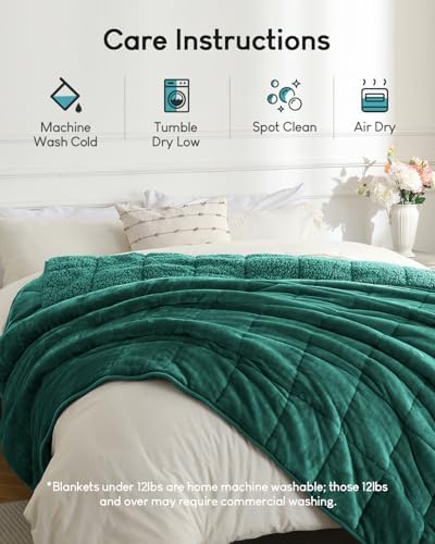 Cottonblue Weighted Blanket Queen Size for Adults Teens 15lbs 60x80in Soft - Image 6