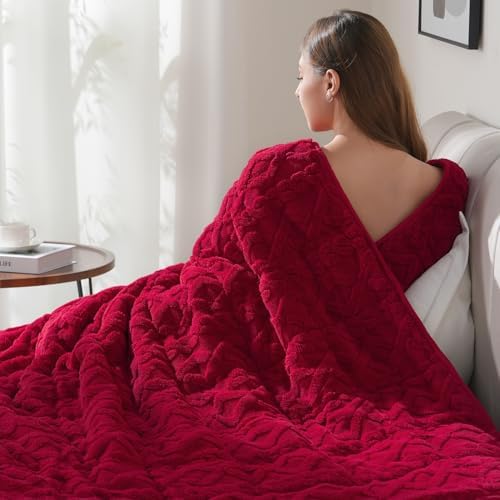 Drewin 20lbs Weighted Blanket Queen Size for Adults,Red,60 x 80 inches by Home