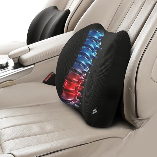 2 Pack Lumbar Support Pillow,Memory Foam Back Cushion for Office Chair,Car Seat,Travel,Ergonomic Posture Corrector for Lower Back Pain Relief,Black by Raygis