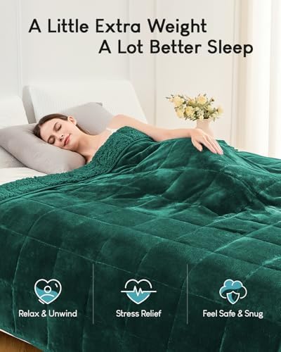 Cottonblue Weighted Blanket 20lbs for Adults Teens Queen Size 60x80in Soft - Image 3