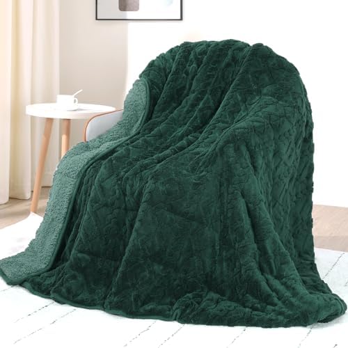Drewin 20lbs Weighted Blanket Queen Size for Adults,Dark Green,60" x 80" by Home