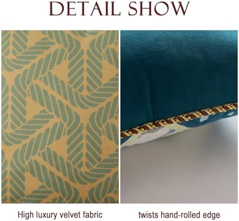 patdrea Designer Velvet Couch Throw Pillow Cover,Set of 2,18"x18"-NoahA - Image 5
