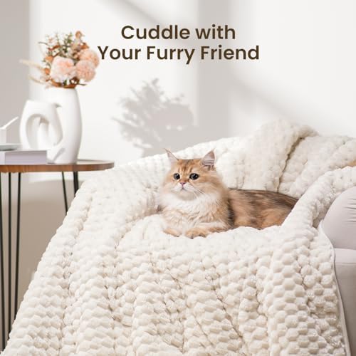 Drewin Weighted Blanket Queen Size 15lbs for Adults,Cream White,60" x 80" - Image 6