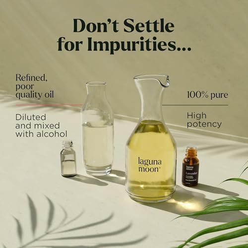 Essential Oils Set - Top 10 Gift Set Blends for Fragrance, Diffusers, Humidifiers, Aromatherapy, Cars & Home Products, Room Sprays, Candle Making, Yoga - Fragrance Oils for Botanical Fresheners Making - Image 3