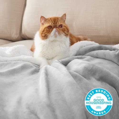 Bedsure GentleSoft Sherpa Fleece Blanket Queen Size for Bed, Non-Heated, Thick and Warm Throw for Women and Men, Soft Fuzzy Plush Queen Blanket for Winter, Light Grey, 90x90 Inches - Image 2