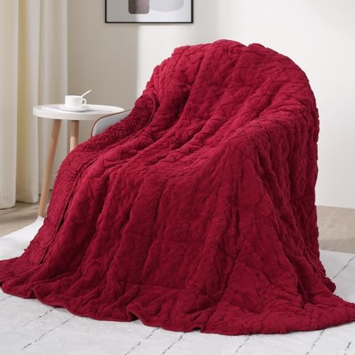 Drewin Weighted Blanket Queen Size 15lbs for Adults,Red,60 x 80 inches by Home