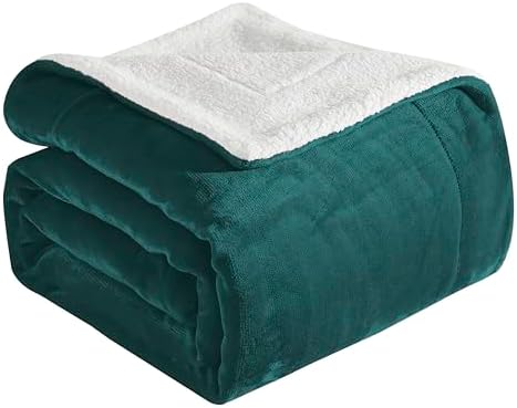 Elegant Comfort Ultra Soft Reversible Flannel Sherpa Blanket - Cozy Silky Fleece Throw for Couch, Bed - Plush Fuzzy Warm Winter Blanket for Gift, Queen, Turquoise by ELEGANTCOMFORT
