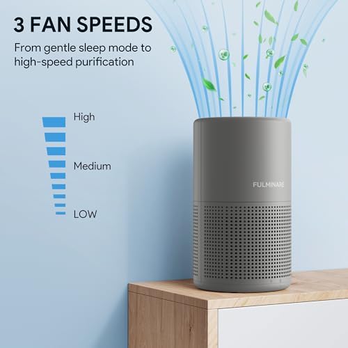 FULMINARE Air Purifiers for Bedroom H13 True HEPA Air Filter (Gray) - Image 5