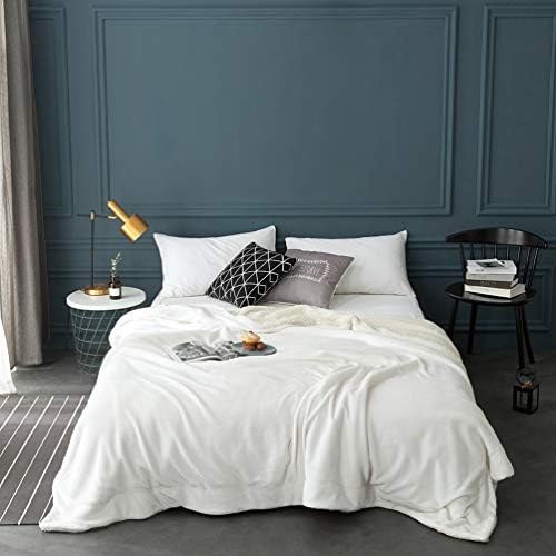 LBRO2M Sherpa Fleece Bed Blanket Twin Size Super Soft Fuzzy Plush Warm Cozy Fluffy Microfiber Couch Throw Velvet Double Reversible Luxurious Blankets,Ivory - Image 2