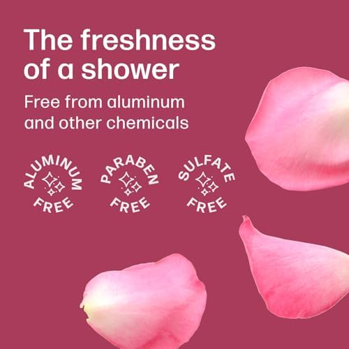 Dew Well Deodorant Wipes - Individually Wrapped Armpit Wipes - Aluminum Free Body Sheets with Natural Extracts - Rose Towelette for Travel - 50 Count, Pack of 3, Rose - Image 4