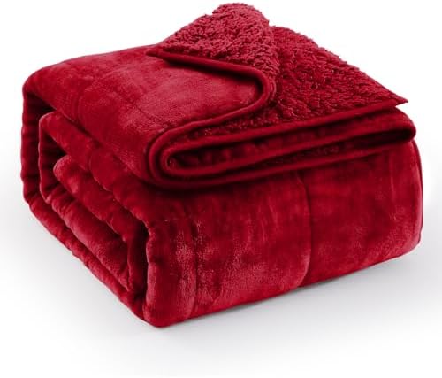 Ultra Soft Sherpa Weighted Blanket for Adults, 60"x80" 20lbs Heavy Blankets by EazfyPro