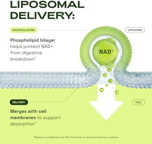Cata-Kor Liposomal NAD Resveratrol Supplement – NMN Supplement Alternative – Third-Party Tested – Advanced NAD Supplement for Women & Men – 30-Day Supply - Image 4