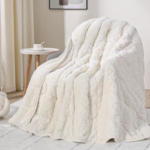 Drewin Weighted Blanket Queen Size 12lbs for Adults,Cream White,60" x 80" by Home
