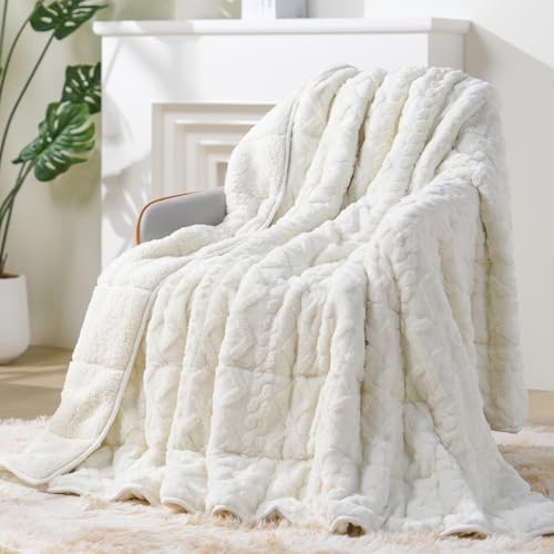 Ultra Soft Sherpa Weighted Blanket for Adults, 60"x80" 15lbs Heavy Blankets by EazfyPro