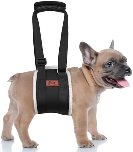 Adjustable Dog Lift Harness for Small Dogs Hind Leg Support Weak Legs Aid by PICKFORLIFE