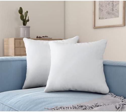 Acanva Premium Throw Pillow Inserts with Microfiber Filled, Lumbar Support Decorative Stuffer for Sofa Bed Couch & Chairs, 20x20, 2 Count, White by acanva