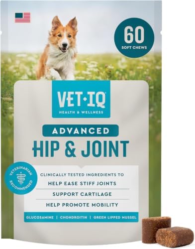 VetIQ Advanced Hip & Joint Chews for Dogs, 60 Count, Chicken Flavored Supplements Made with Glucosamine, Omega 3’s, Chondroitin, MSM & Green Lipped Mussel, Increases Mobility & Maintains Muscles by VetIQHealthSupplements