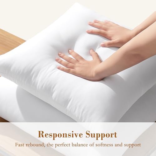 puredown® 12x20 Pillow Inserts, 2 Pack Fluffy Lumbar Pillows Filled with Plump Stuffer, Rectangle Decorative Pillows for Couch, Sofa, Bed and Home Decor - Image 3