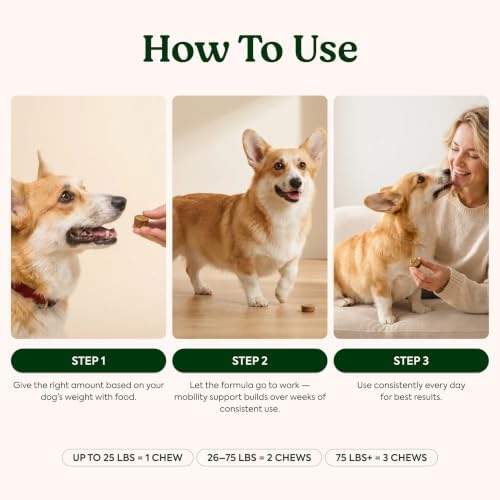 Hip & Joint Supplement for Dogs – Soft Chews for Joint Mobility - Image 4