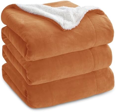 Bedsure GentleSoft Sherpa Fleece Blanket Queen Size for Bed, Non-Heated, Thick and Warm Throw for Women and Men, Soft Fuzzy Plush Queen Blanket for Fall, Burnt Orange, 90x90 Inches by Unknown