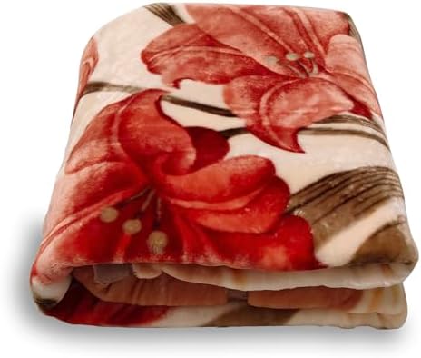 5.5 lbs Heavy Korean Mink Blanket, 2-Ply Silky Soft Plush & Warm,59"×79" Blanket for Couch & Bed. by LGYKUMEG