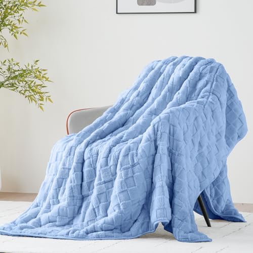Uttermara Weighted Blankets for Adults Full Size, 12lbs 48x72 inches by Uttermara
