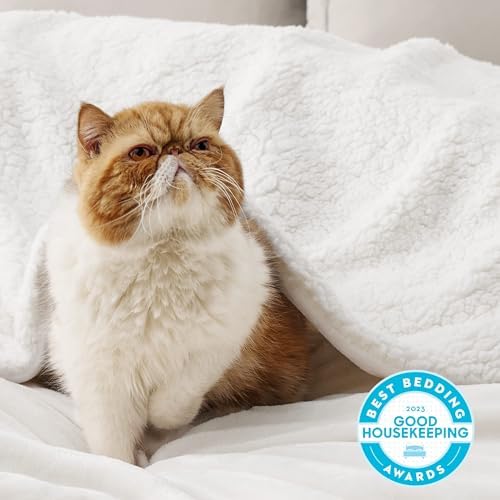 Bedsure GentleSoft Sherpa Fleece Twin Size Blanket for Couch, Non-Heated, Thick and Warm Throw for Women and Men, Soft Fuzzy Plush Twin Blanket for Winter, White, 60x80 Inches - Image 2