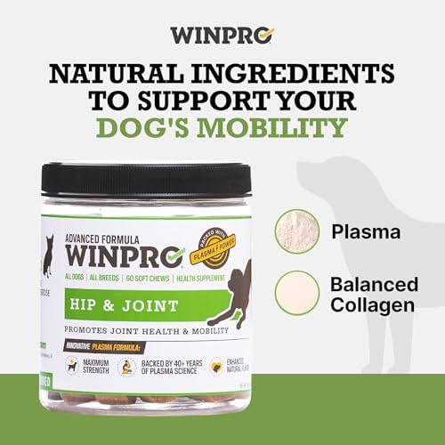 WINPRO Hip & Joint Supplement for Dogs Plasma Powered Soft Chews for Joint Health & Mobility Fast-Acting with Collagen & Natural Ingredients for Dogs of All Breeds – 120 Chews (2 Canisters) - Image 4