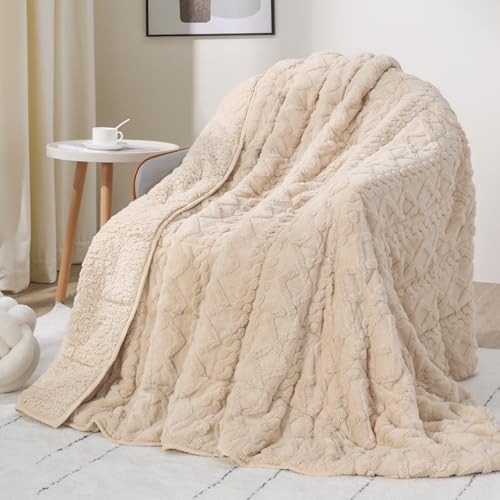 Drewin Weighted Blanket Queen Size 12lbs for Adults,Beige,60 x 80 inches by Home