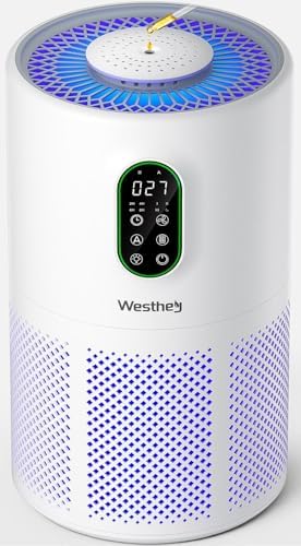 Air Purifiers for Home Large Room 1650 Ft² with Washable Filters, H13 HEPA by WESTHEY