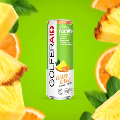 GOLFERAID Performance Blend, Up Your Golf Game, No Caffeine, Glucosamine, Turmeric, MSM, CoQ10, B-Complex,BCAAs and Electrolytes, 45 Calories, 100% Clean, Paleo, Vegan, 12-oz. cans (Pack of 4) - Image 4