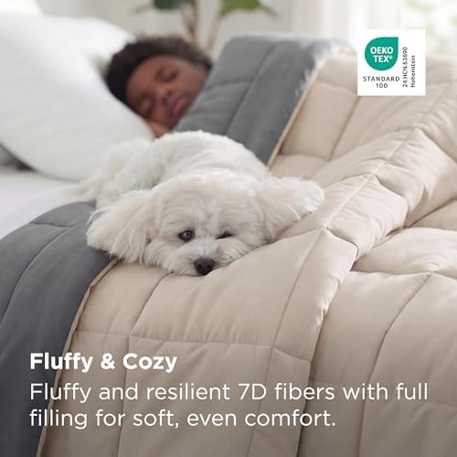 Bedsure Comforters Full Size Duvet Insert, Quilted Down Alternative Comforter, Ultra Soft Lightweight Comforter Blanket for Bed, with 8 Tabs, Machine Washable, 82x 86 in, Beige/Grey - Image 3