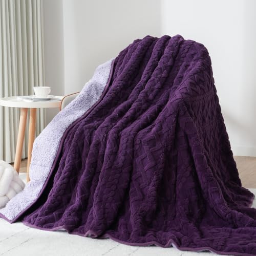 Drewin Weighted Blanket 15lbs for Adults,Dark & Light Purple,60" x 80" by Home