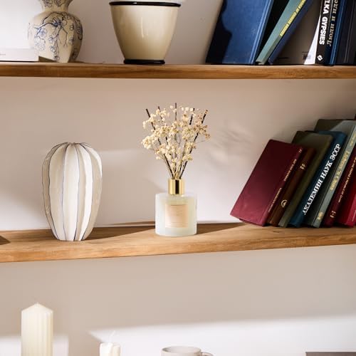 COCORRÍNA Reed Diffuser - Moroccan Amber 6.7 Fl.oz Reed Diffuser Set with Sticks & Preserved Baby's Breath, Reed Diffuser for Home Bathroom Shelf Decor - Image 5