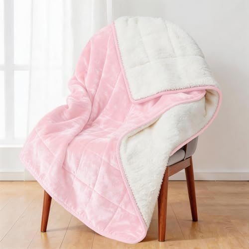 Alomidds Weighted Blanket Queen Size 15lbs 60x80 inches, Sherpa Weighted Blankets for Adults,Fluffy Warm Sherpa & Cozy Soft Flannel Thick Heavy Blanket for All-Season with Glass Beads, Pink by Alomidds