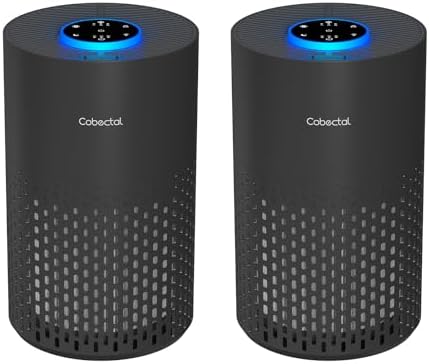 2 Pack Cobectal Air Purifiers for Home Bedroom with 3-in-1 Filter, Black by cobectalsupplier