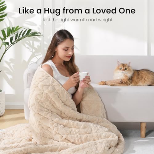 Drewin Weighted Blanket Queen Size for Adults 17lbs,Beige,60 x 80 inches - Image 4