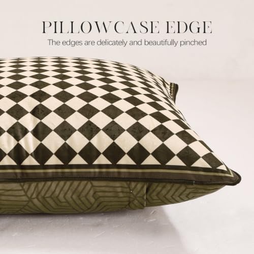 patdrea Designer Velvet Throw Pillow Cover,Set of 2,22"x22"-BrigittaC - Image 6