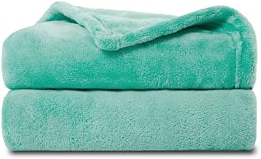 NANPIPER Baby Blankets, Super Soft Fleece Fuzzy Blanket for Toddler, Luxury Cozy Lightweight Microfiber Plush Blanket-Throw Size 30"x40",Lake Blue by NANPIPER