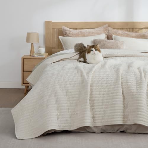 BEDELITE Velvet Quilt Set Queen Size, Luxury Velvet Comforter Bedding - Image 2