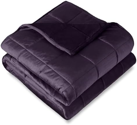 Bare Home Minky Fleece Weighted Blanket (Eggplant, 80"x87" 25lbs) by BareHome