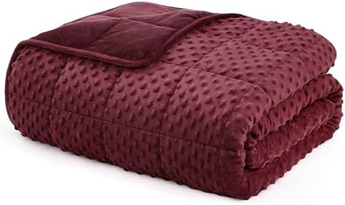 L'AGRATY Weighted Blanket for Adult - 60"x80" 20lbs Minky Dots Heavy Blanket with Glass Beads Soft Breathable for All-Season Summer Fall Winter Thick Comfort for Sleeping by LAGRATY
