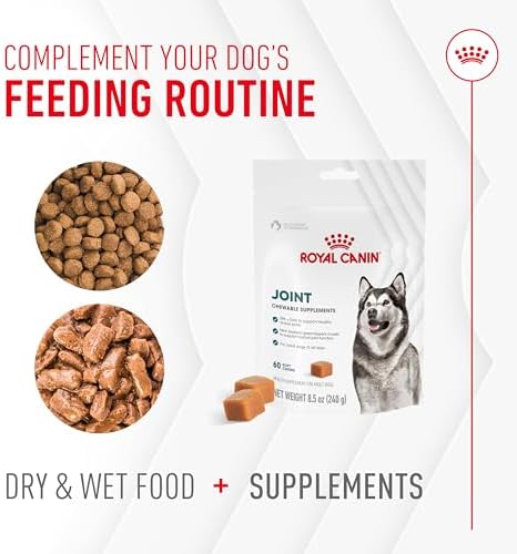 Royal Canin Joint Dog Supplement Soft Chews for Adult Dogs, 60 Count (Pack of 2) - Image 6